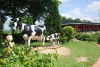 [柳營區] 乳牛的家來杯生乳鮮奶饅頭